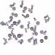 iPhone 6S_6s Plus bottom Screw